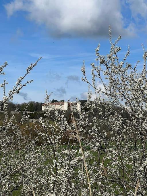 Maison Ray Sur Saone Ray-sur-Saone Bagian luar foto